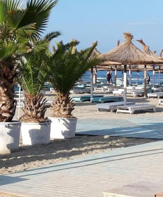 Năvodari Alezzy Reasort Luxury Apartment 81 Prima Linie La Mare מראה חיצוני תמונה