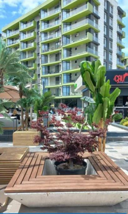 Năvodari Alezzy Reasort Luxury Apartment 81 Prima Linie La Mare מראה חיצוני תמונה